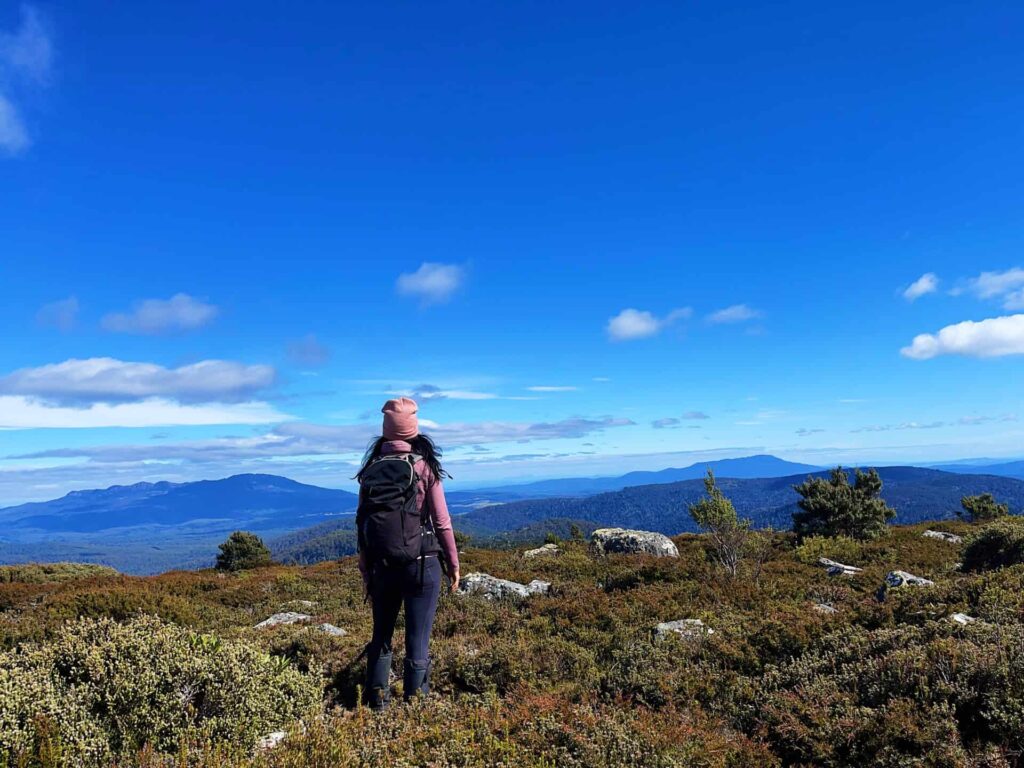 Mount Maurice summit Tasmania