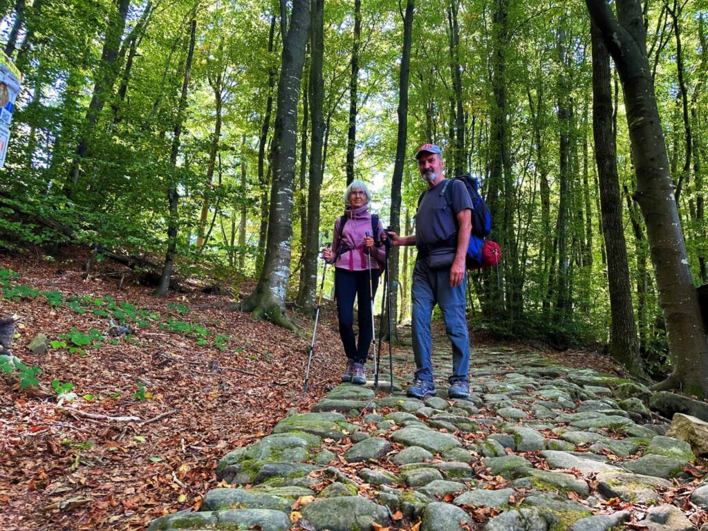 hikers enjoying the scenic beauty of the Via degli Dei trail, surrounded by lush forests and the via flaminia