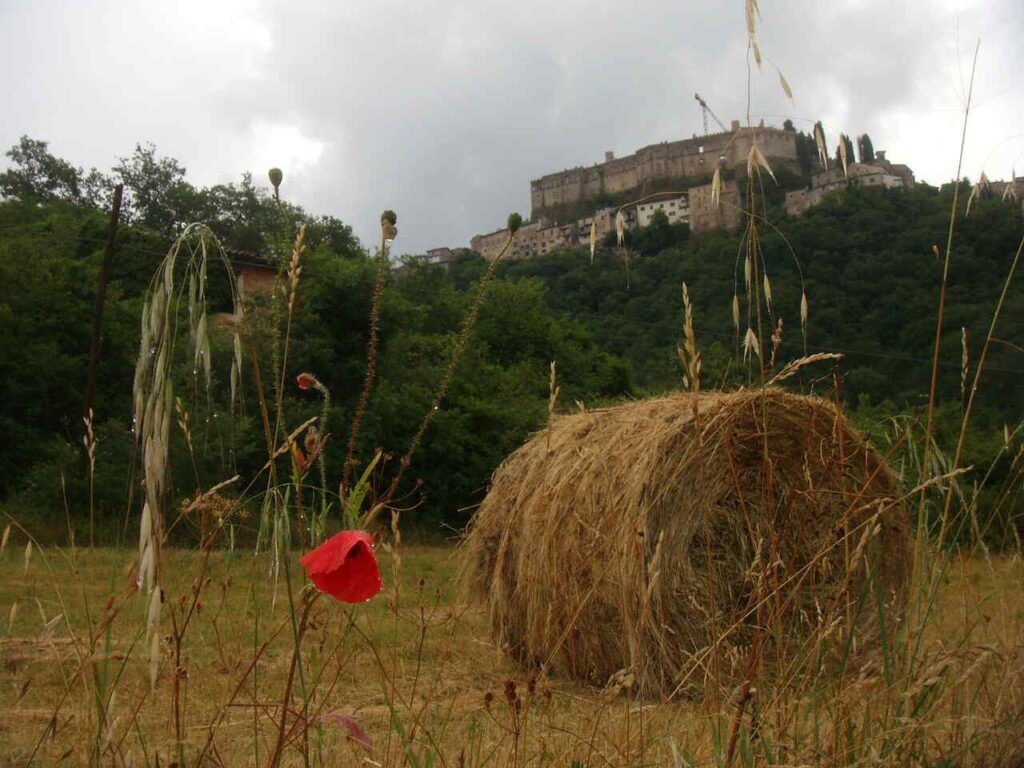 TAPPA 6-ROCCA SINIBALDA Foto di Simone Frignani