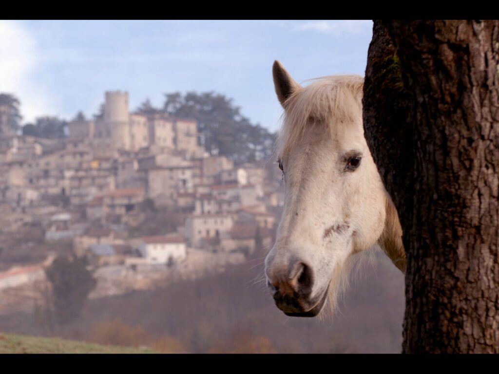 TAPPA 8-ORVINIO - Foto di Maurizio Forte