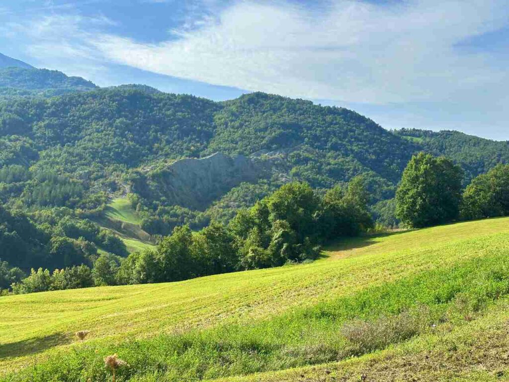 la via matildica del volto santo