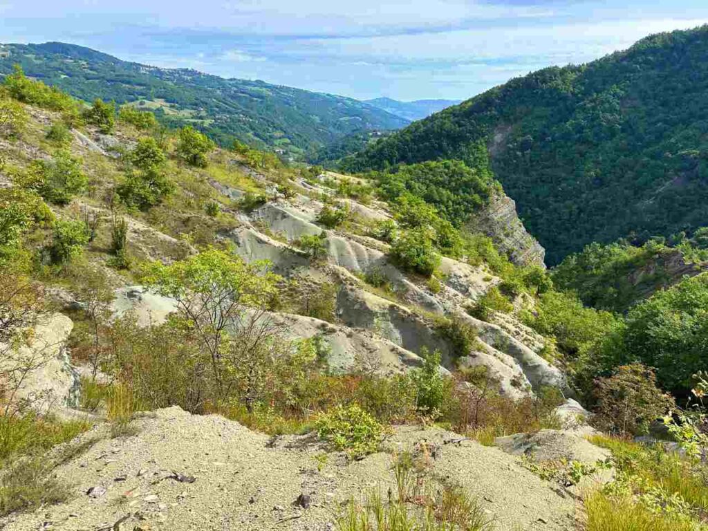 la via matildica del volto santo