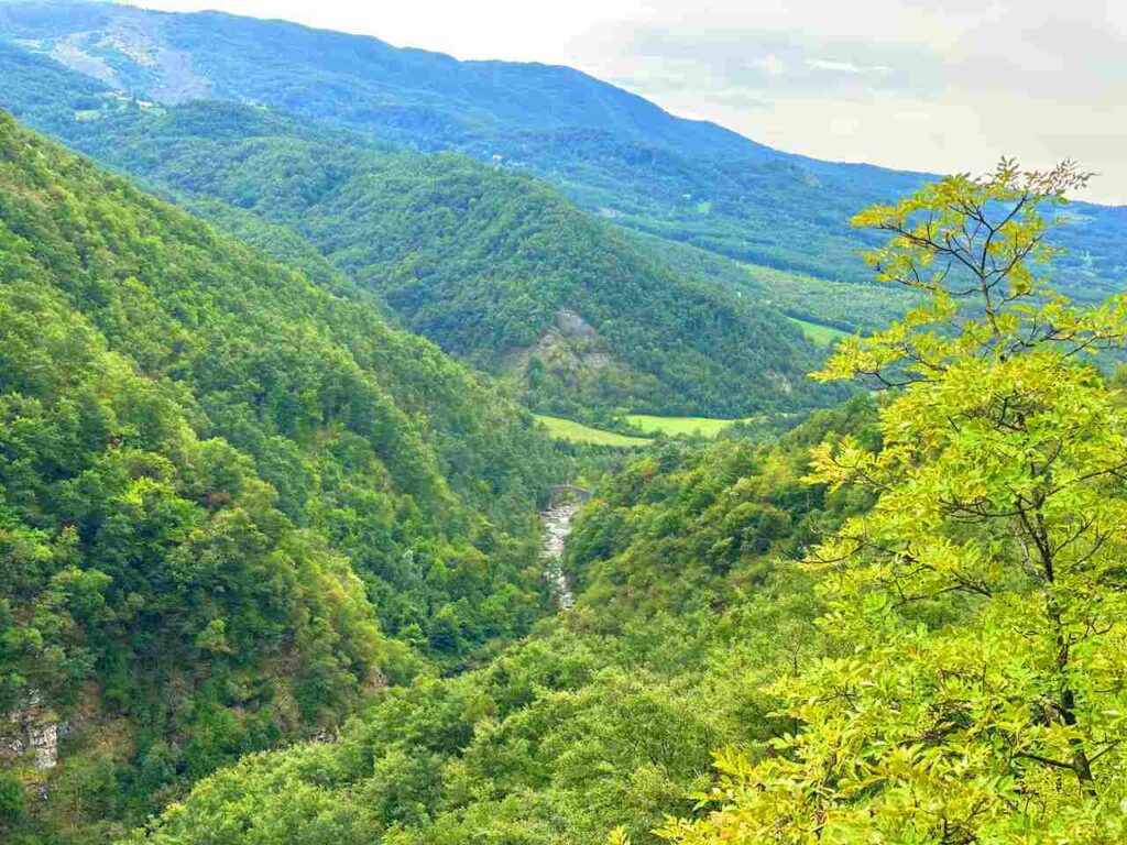 la via matildica del volto santo